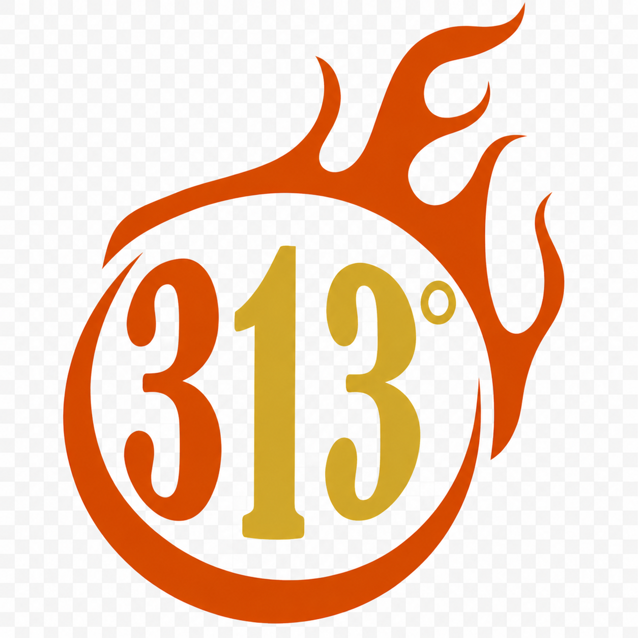 313degrees.com